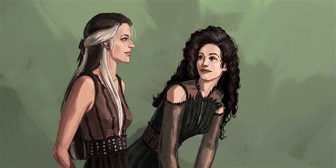 harry potter bellatrix|are bellatrix and narcissa sisters.